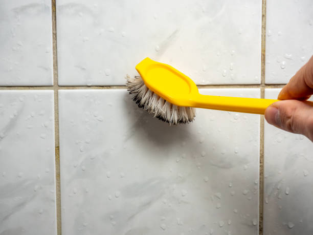 Best Office Mold Removal Services  in Spencer, TN