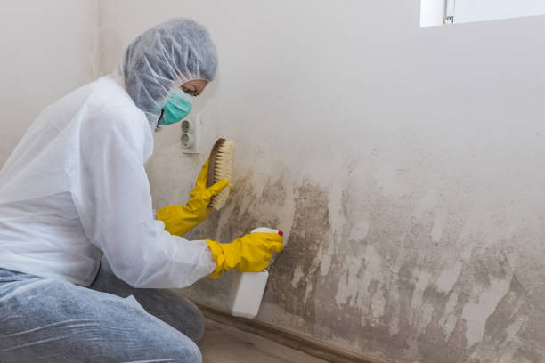 Best Professional Mold Removal  in Spencer, TN