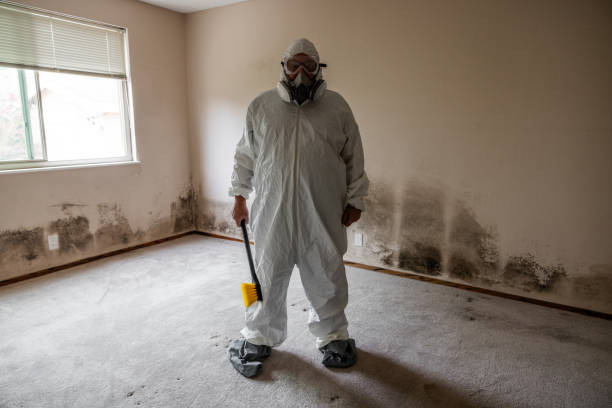 Best Professional Mold Removal  in Spencer, TN